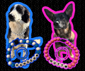 Bestie Bracelet & Collar